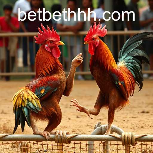 Exploring the Emergence of Online Sabong with Bethhh PH Login